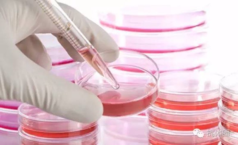 河南奥生源生物科技有限公司：市场表现与竞争优势